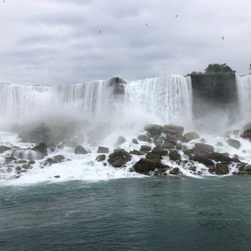 Meet your Posher, Adena